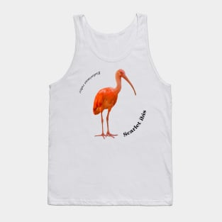 Scarlet ibis tropical bird pin black text Tank Top